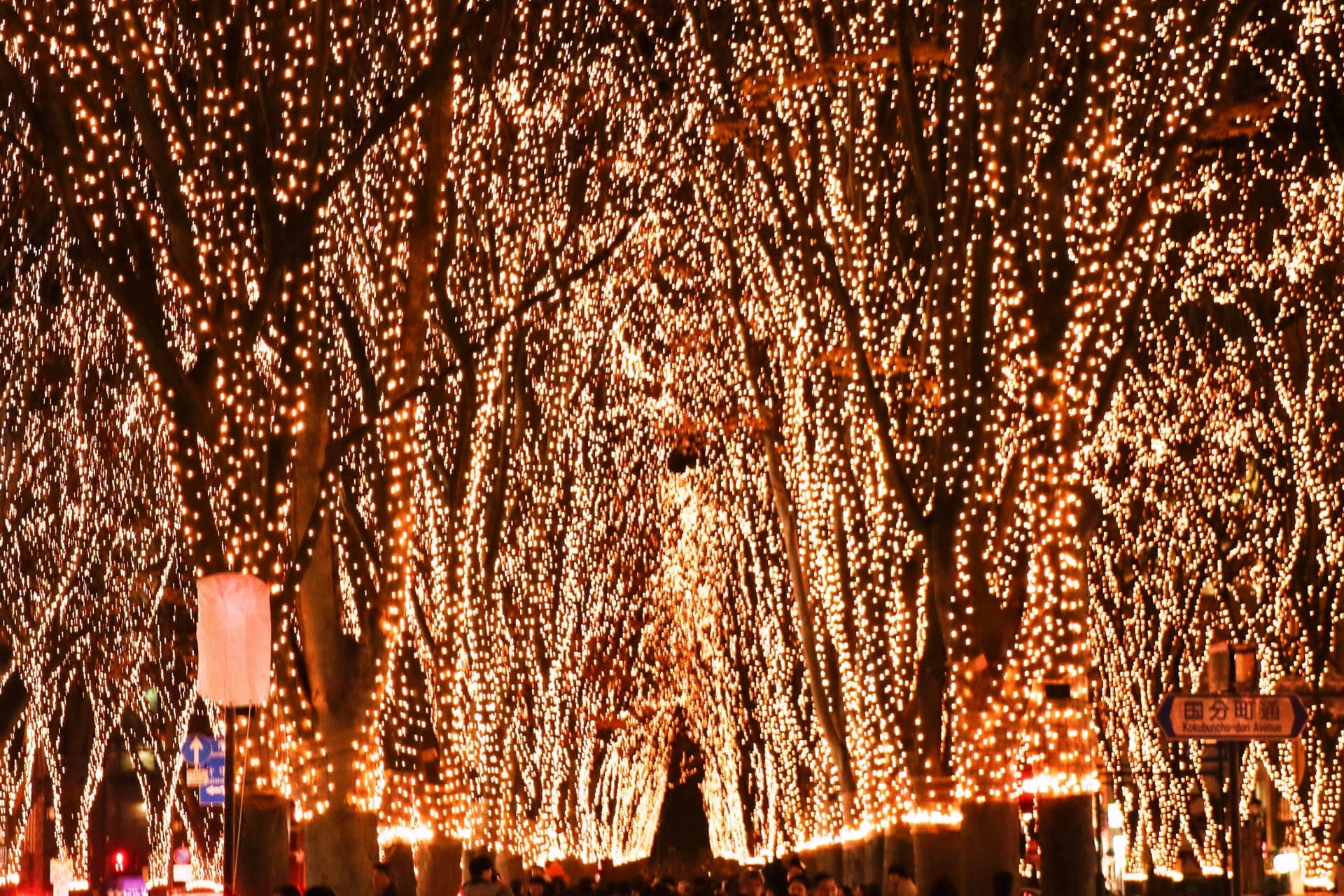 Winter Illumination-min