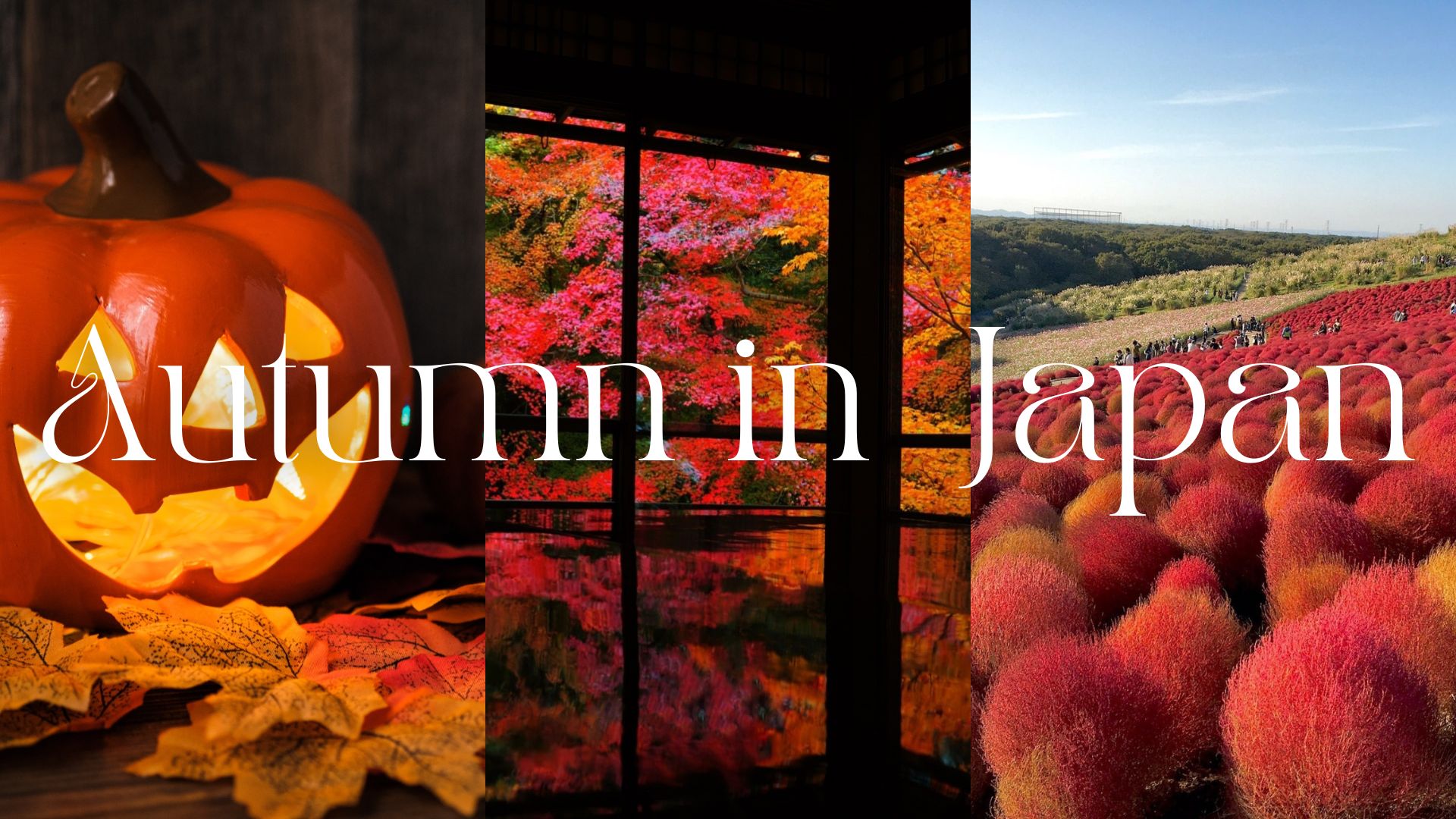 Best Things to Do in Japan in Autumn