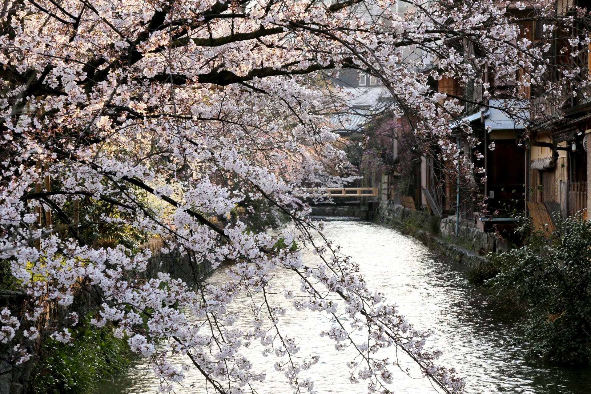 Attractions near Hanamikoji Street