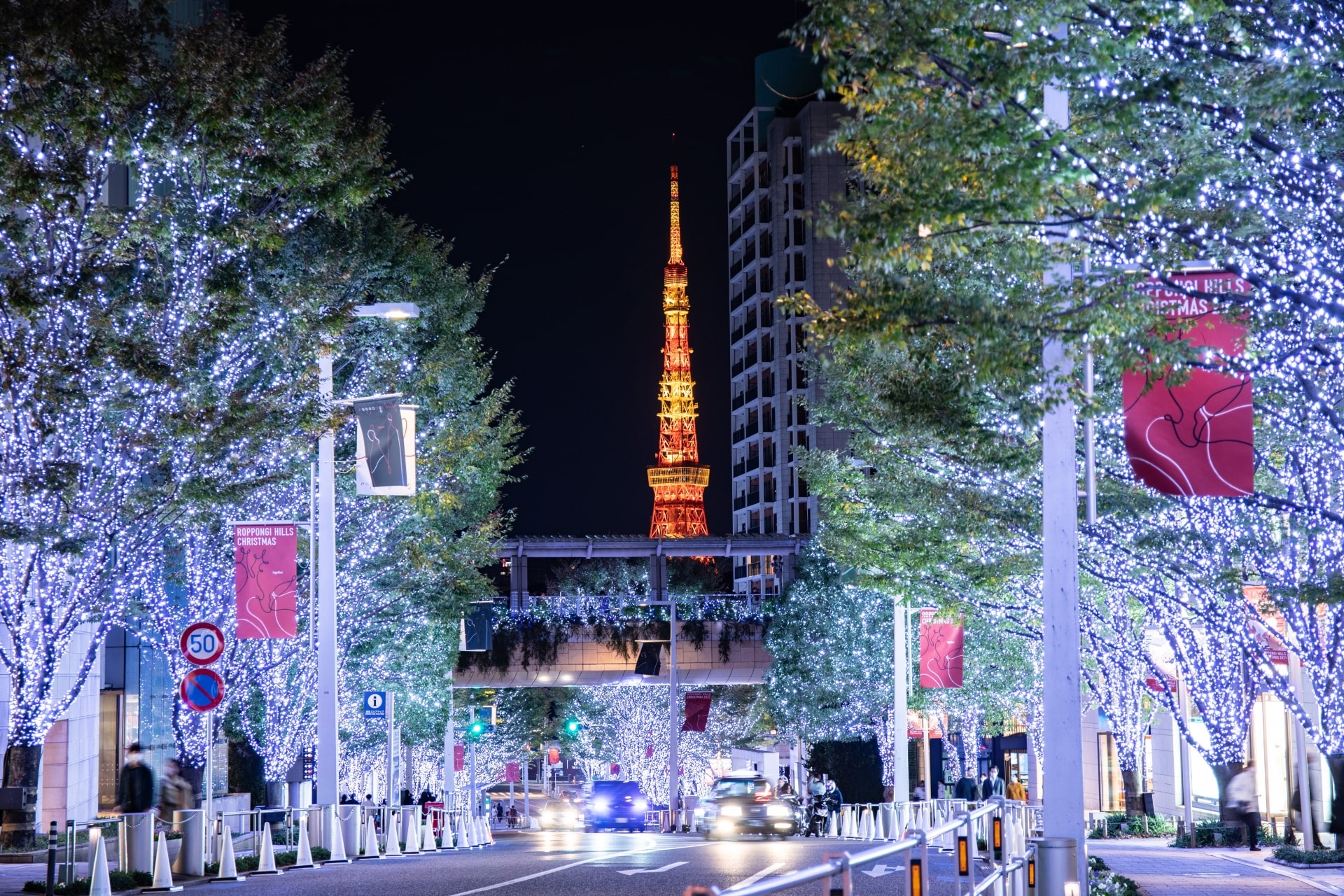 Winter Illumination in Roppongi