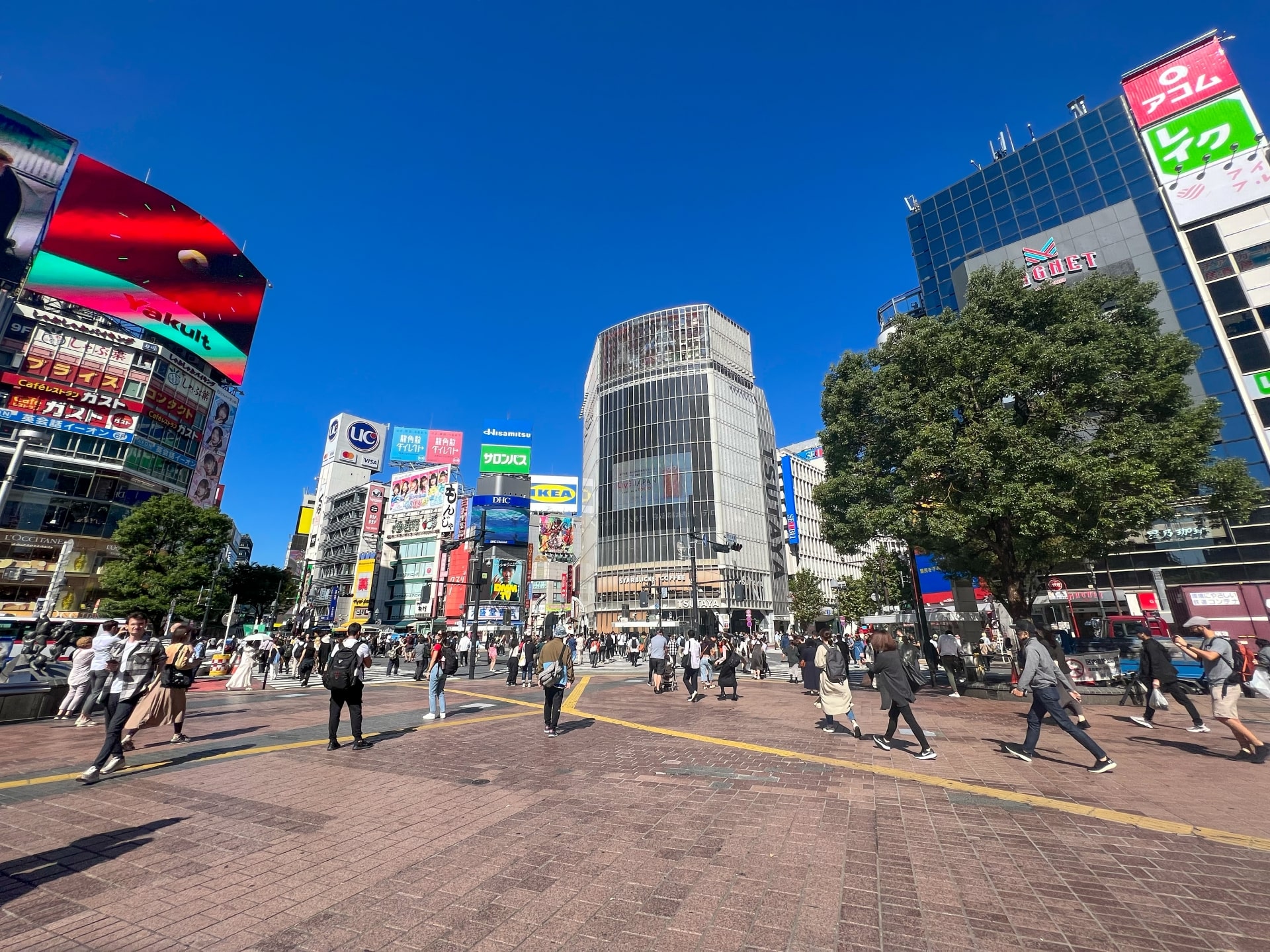 Shibuya sightseeing