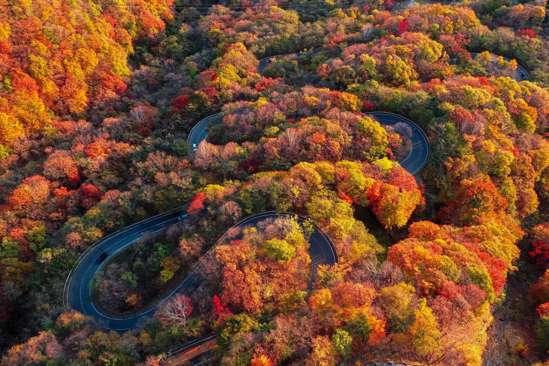 Autumn Foliage in Irohazaka Slope in Nikko