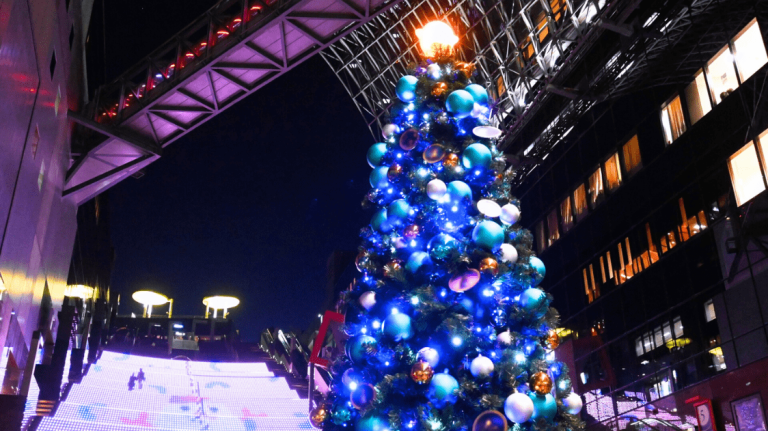 10 Best Things to Do in Kyoto in December 2025