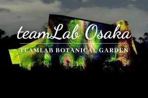 TeamLab Botanical Garden in Osaka