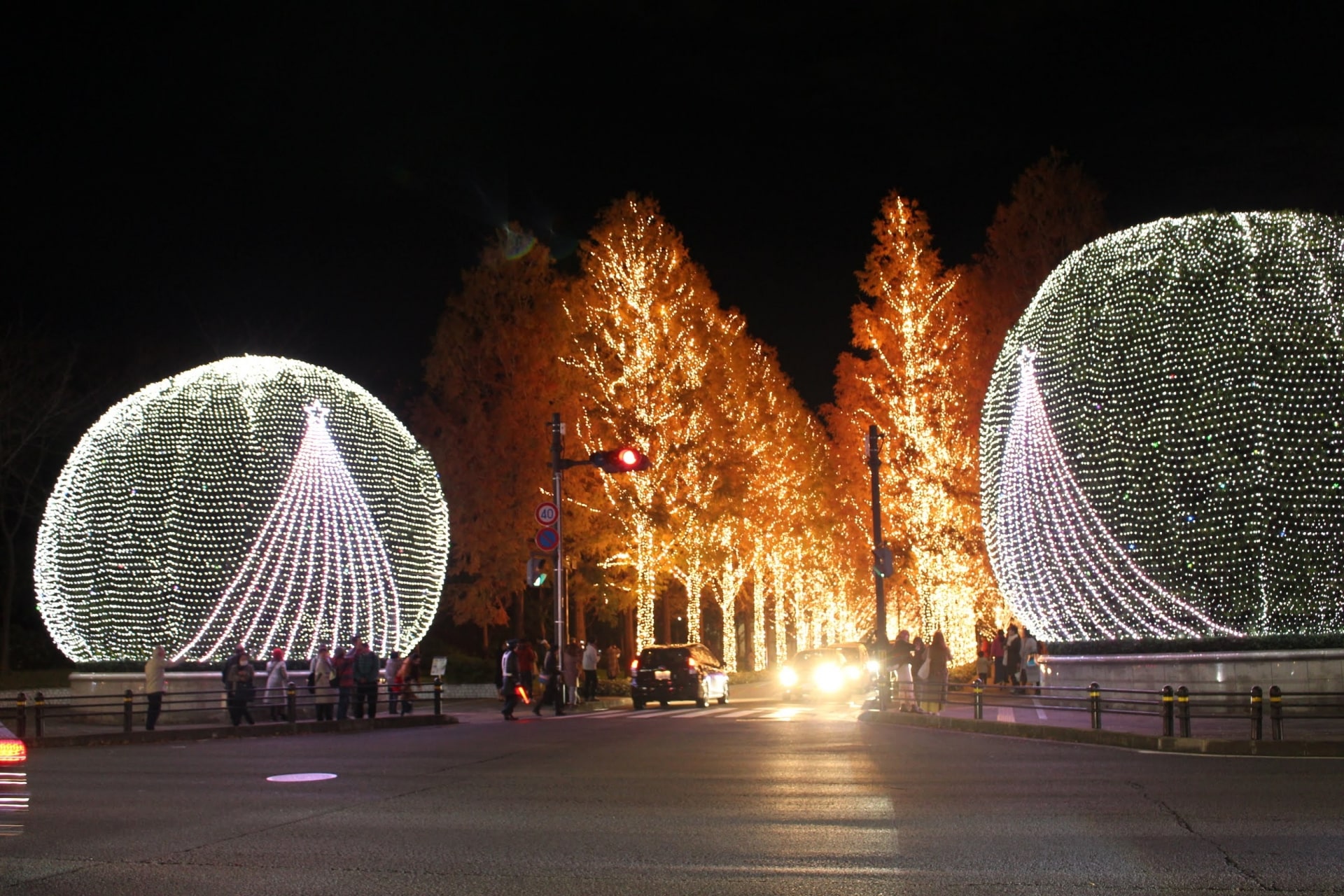 Kyoto winter illumination-min