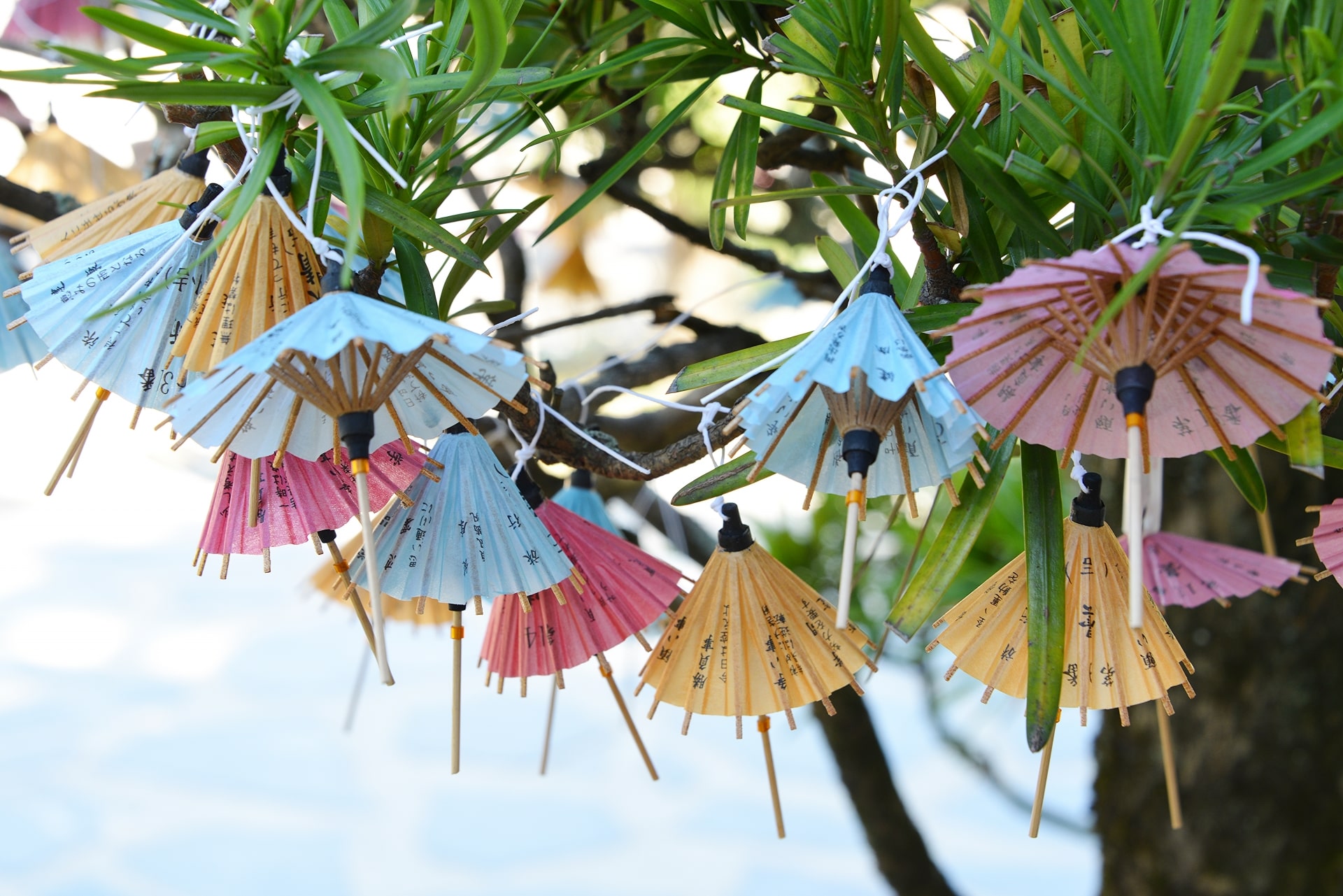 Small paper umbrella Omikuji