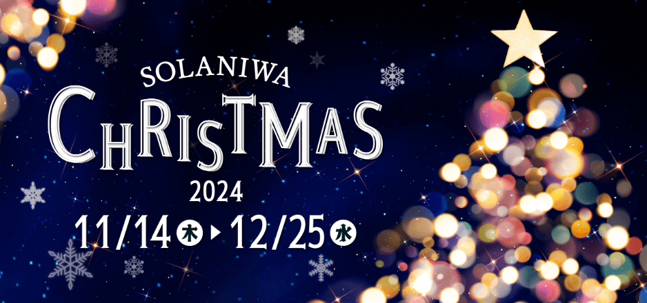 Solaniwa Christmas 2024-min