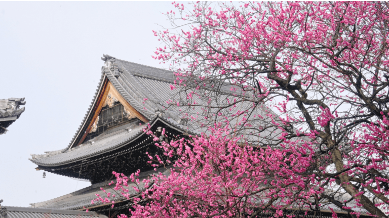 10 Best Things to do in Kyoto in February 2025