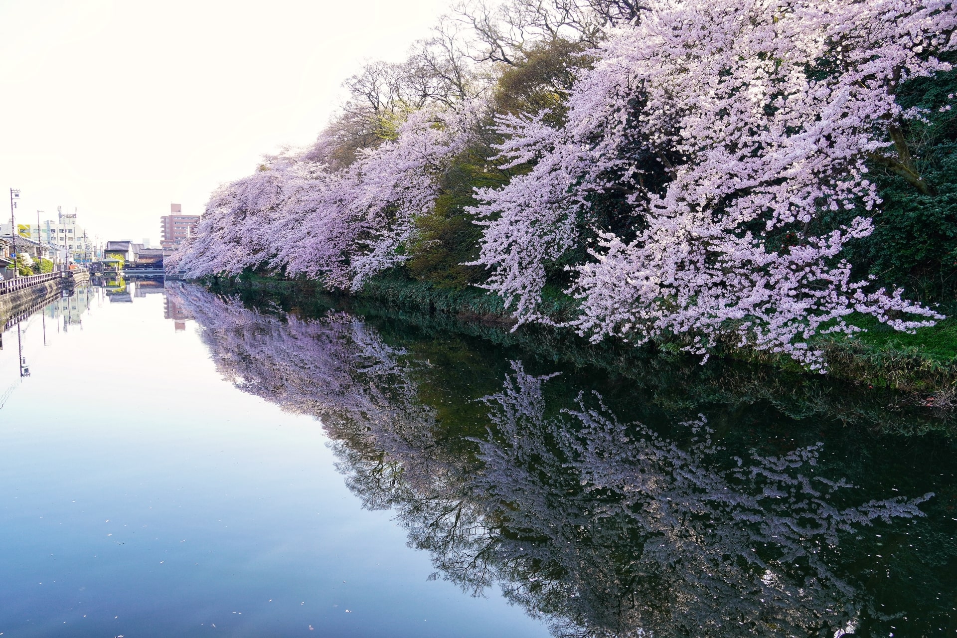 Takaoka Kojo Park