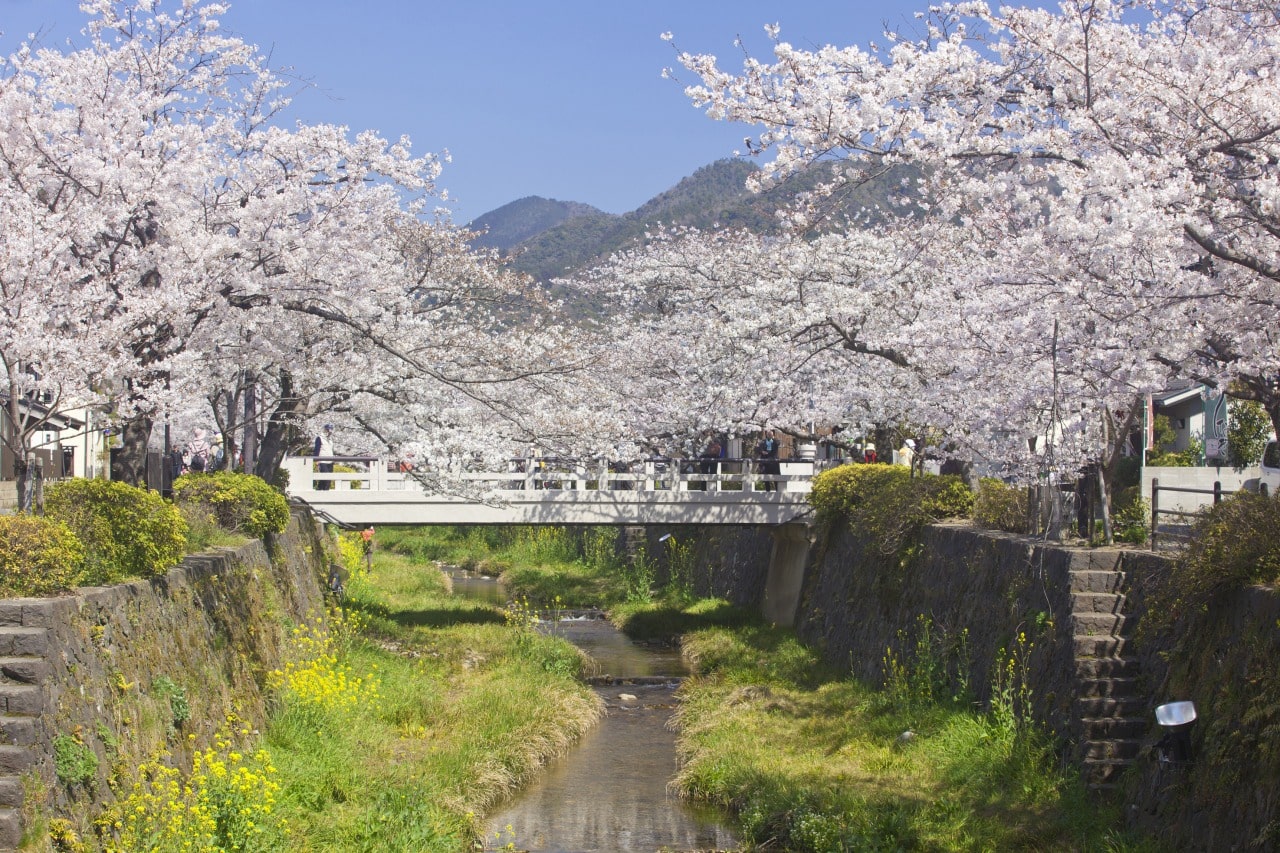 Ichinosaka River Banks