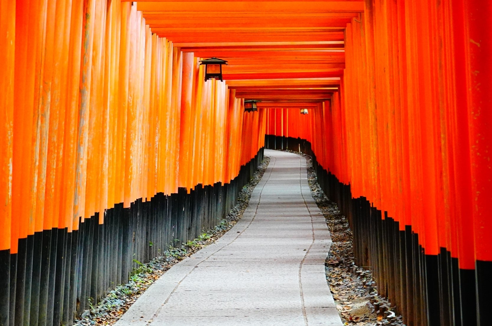 Visit Fushimi Inari Shrine -min