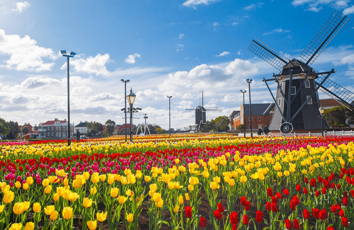 1 million Tulip Festival-min