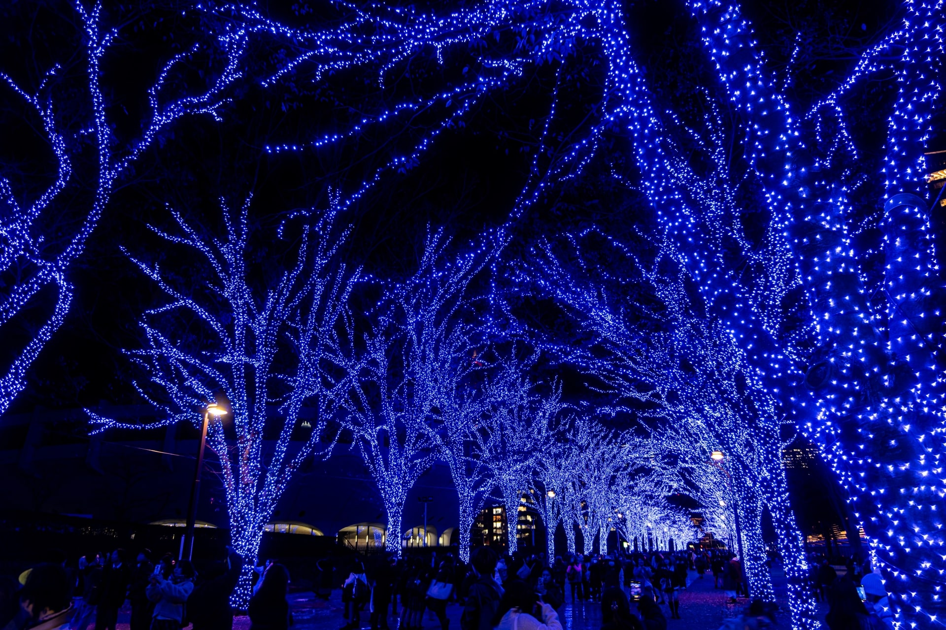 SHIBUYA BLUE CAVE