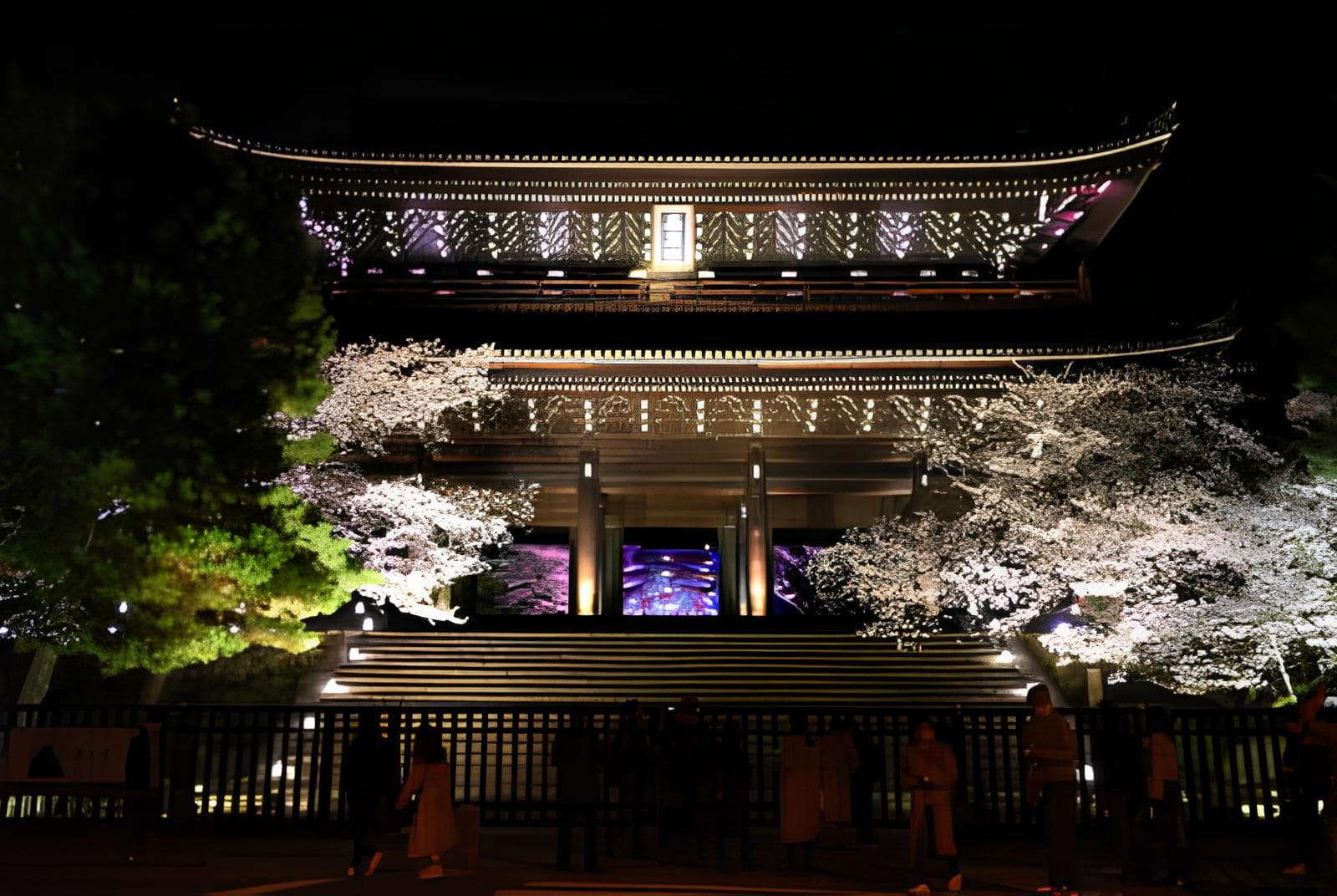 Night sakura illumination event at Chion-in Temple