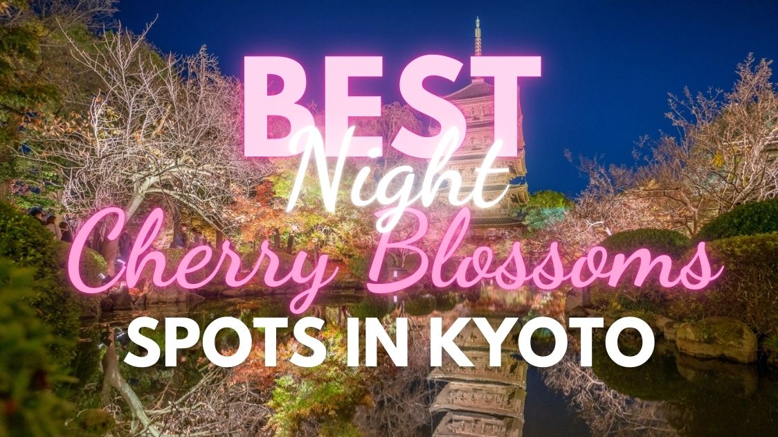 Best Night Cherry Blossom Spots in Kyoto