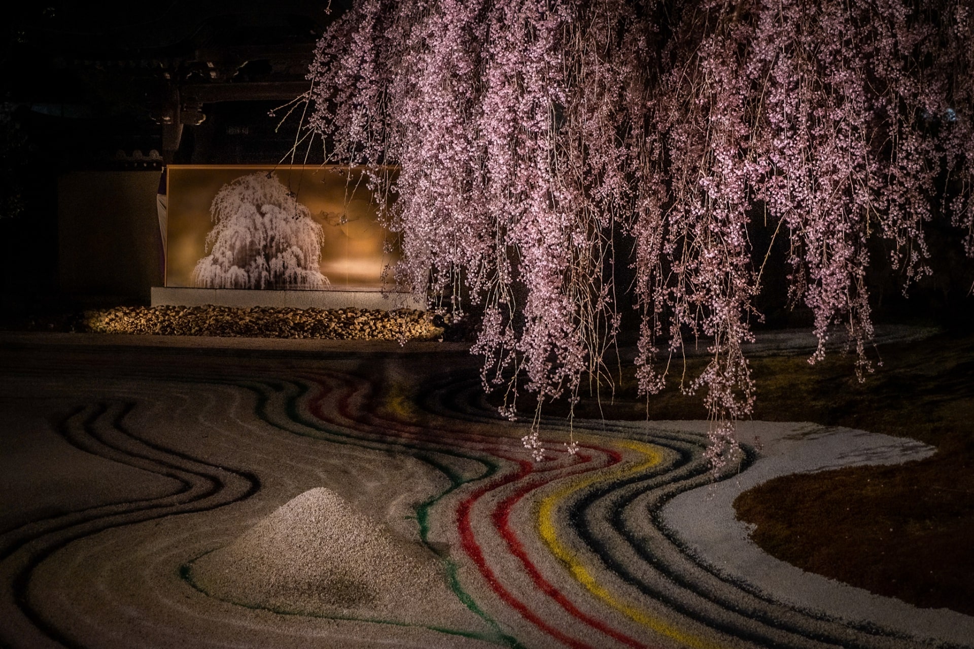 Night sakura illumination at Kodai-ji