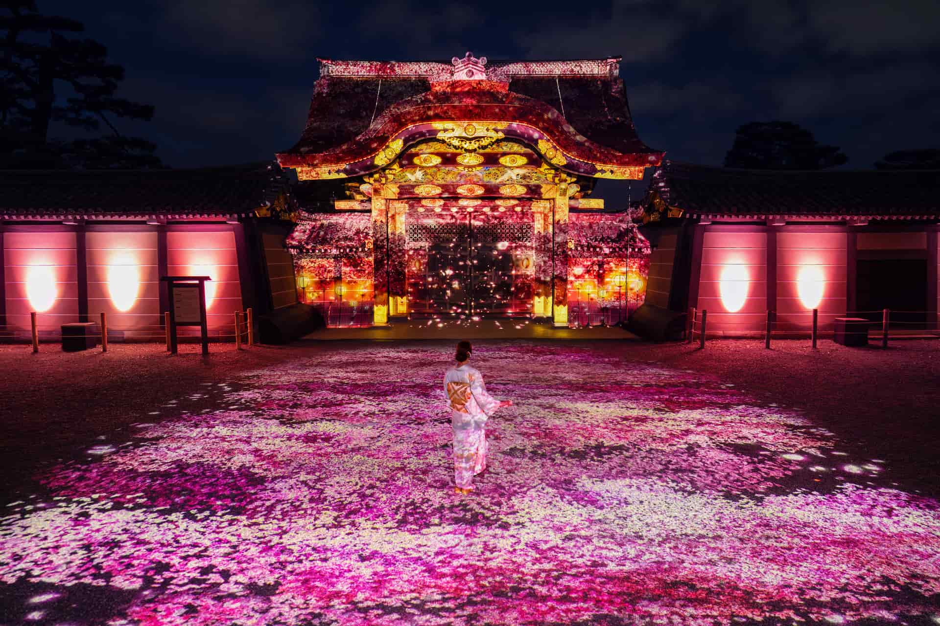 NAKED,inc cherry blossom night illumination event at Nijo Castle