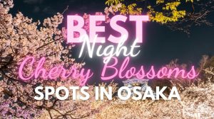 Best Night Cherry Blossom Spots in Osaka