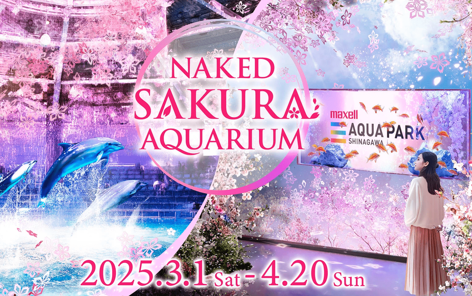 Naked Sakura 2025 Aqua Park-min