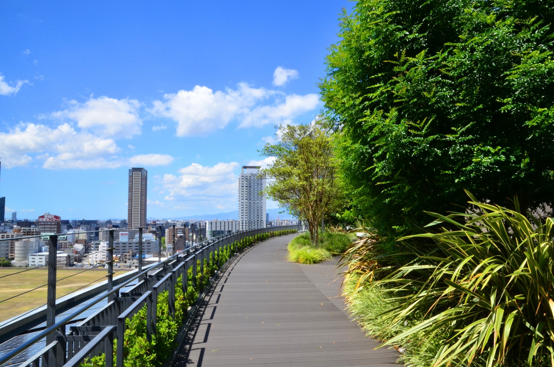 Umeda rooftop in summer