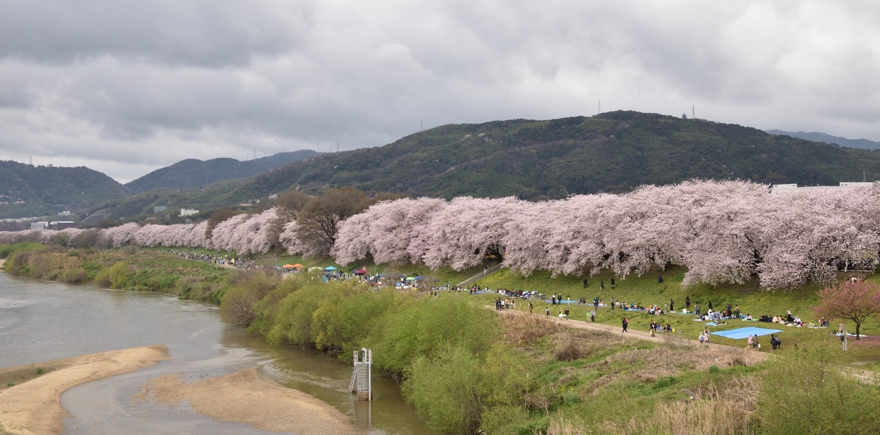 Yodogawa River Park-min