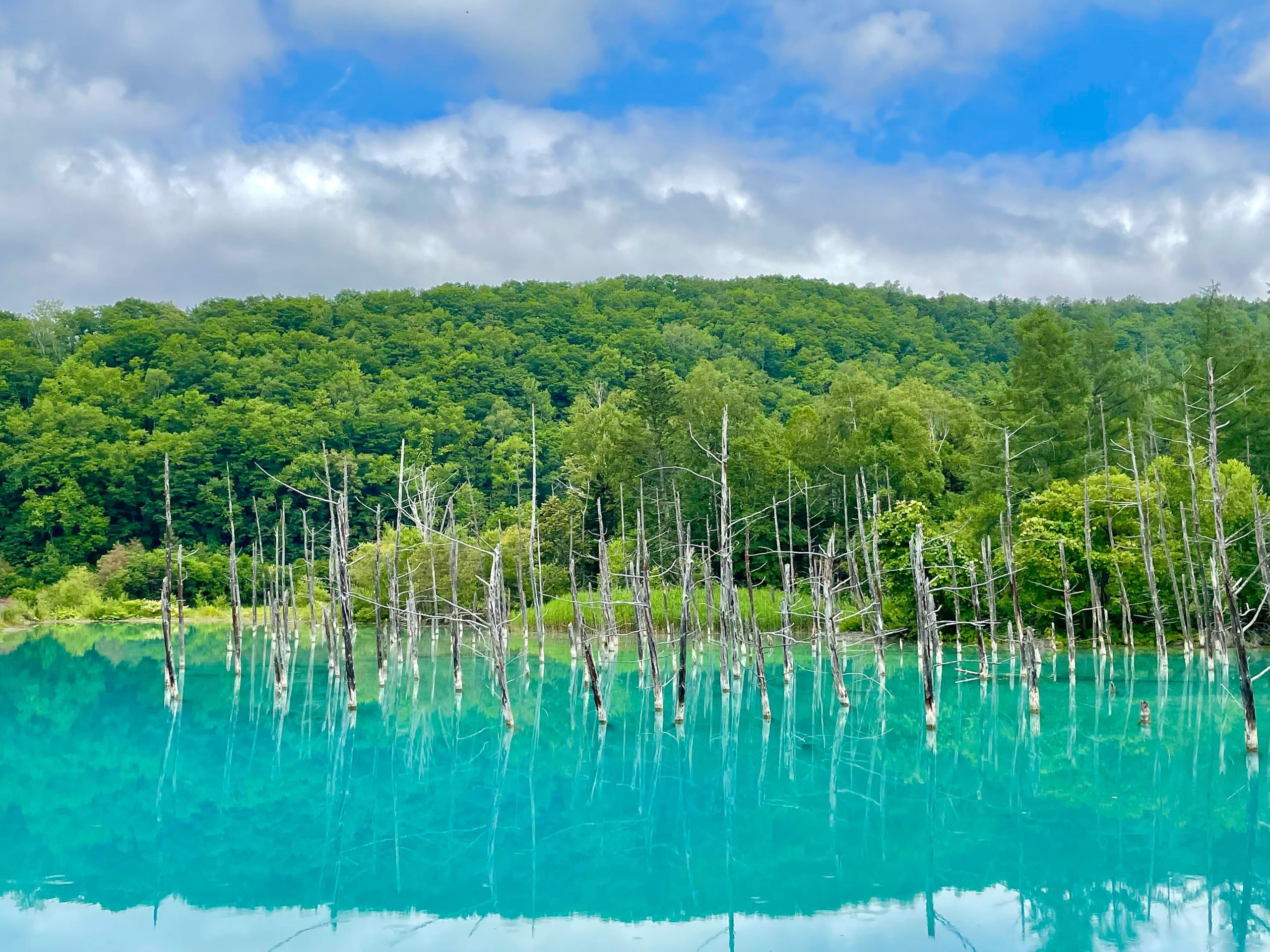 Blue Pond