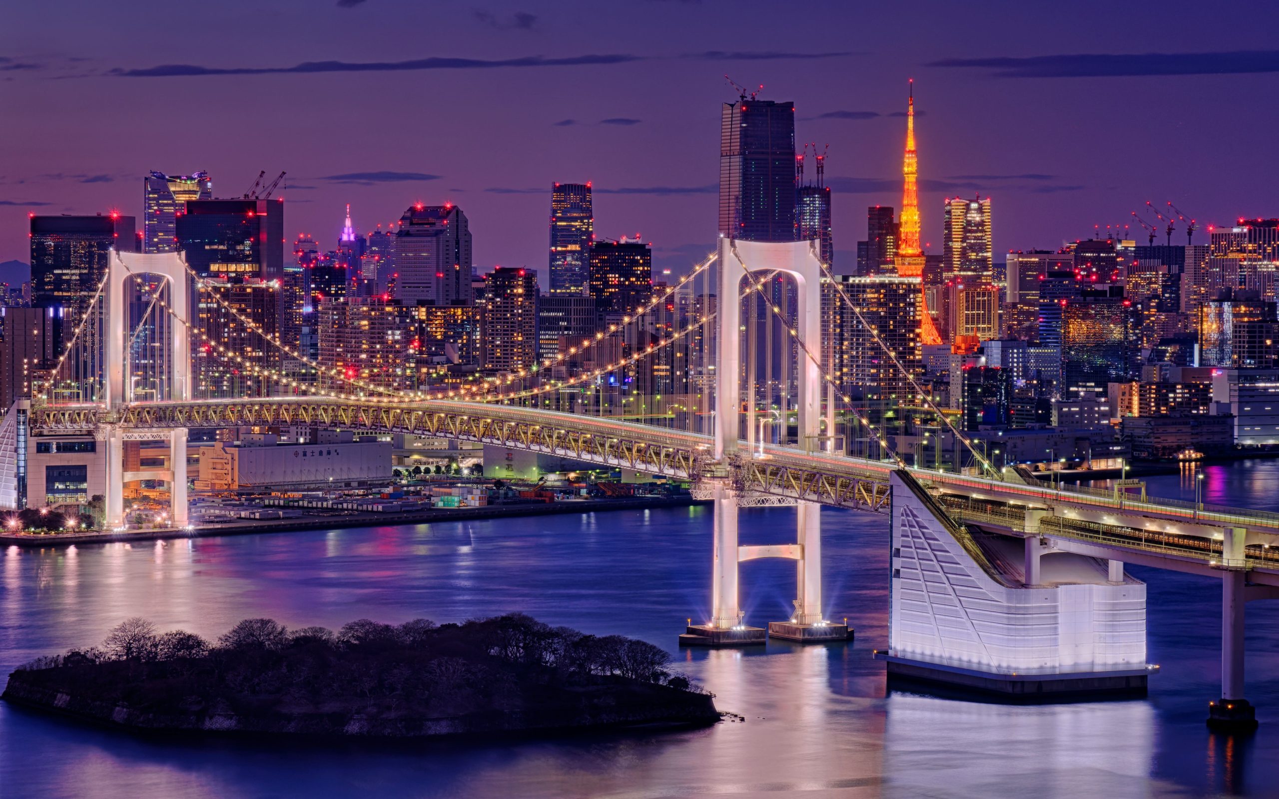 Odaiba night view