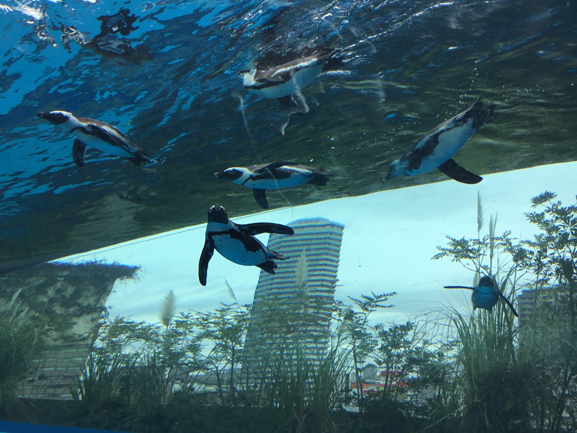Sunshine Aquarium