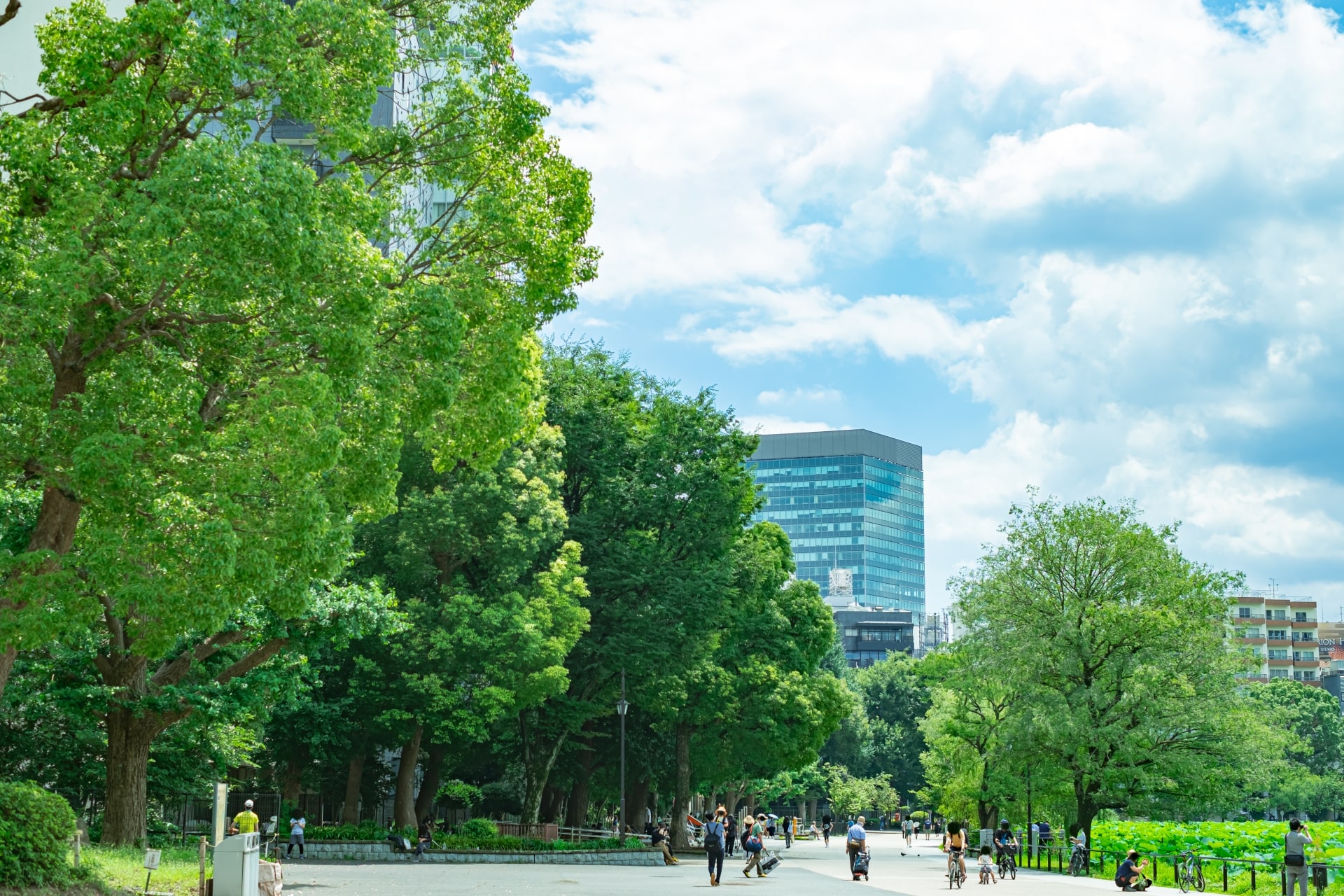 Ueno Park