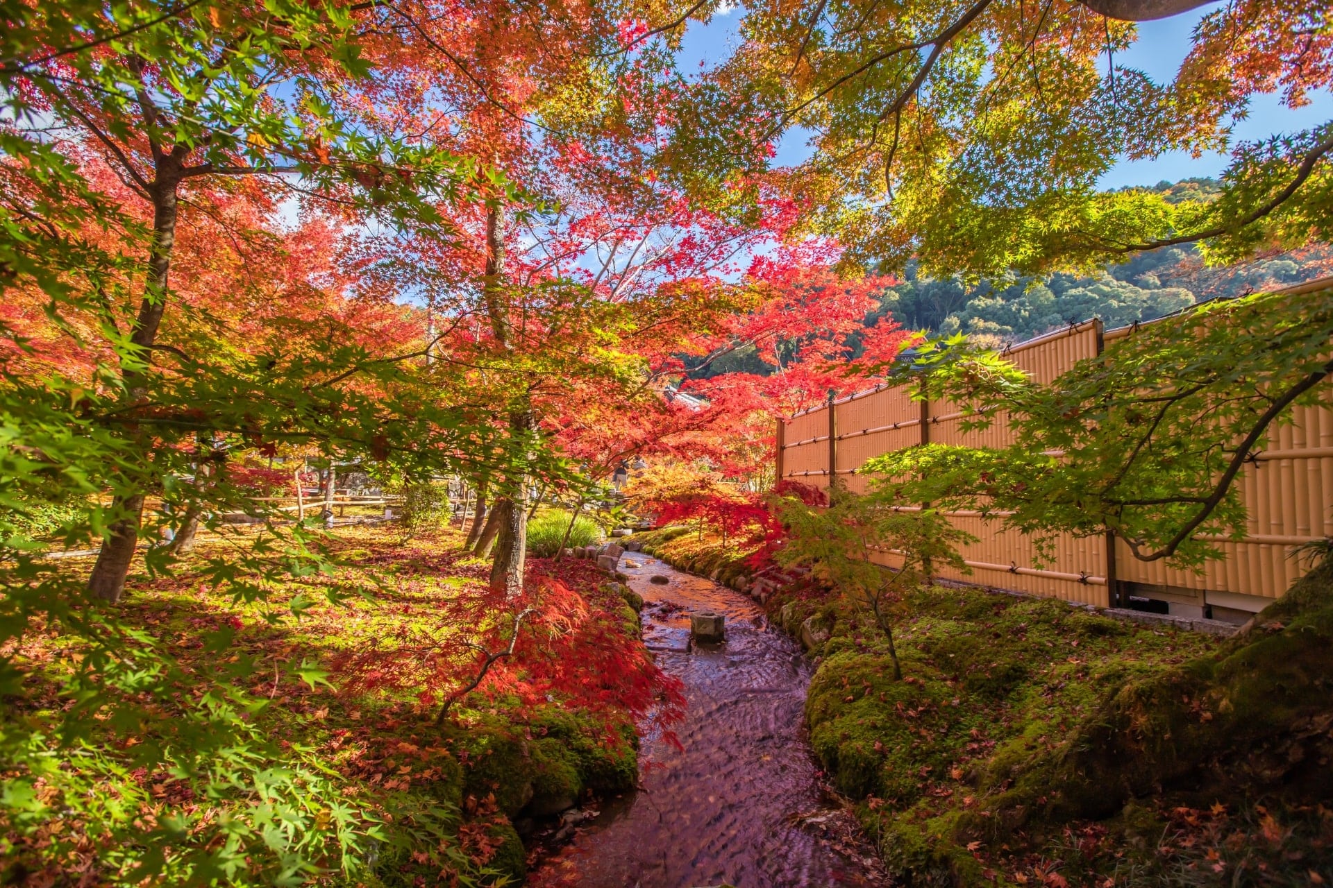 Eikando Temple