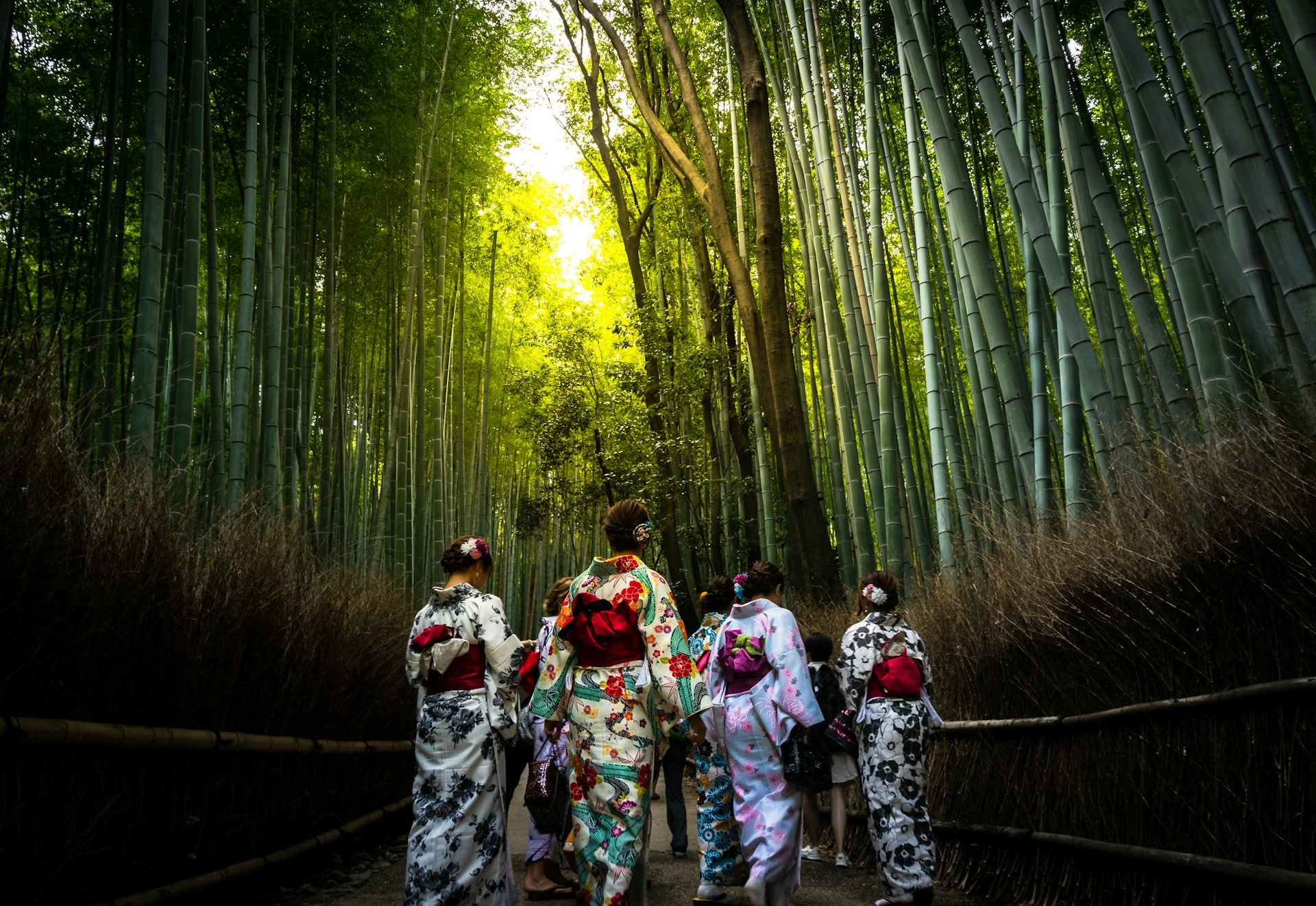 Arashiyama Bamboo Grove in Kimono