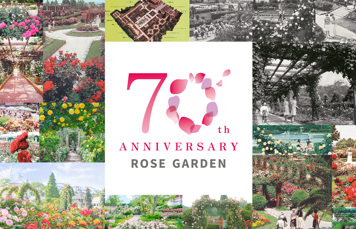 70 Rose Festival-min