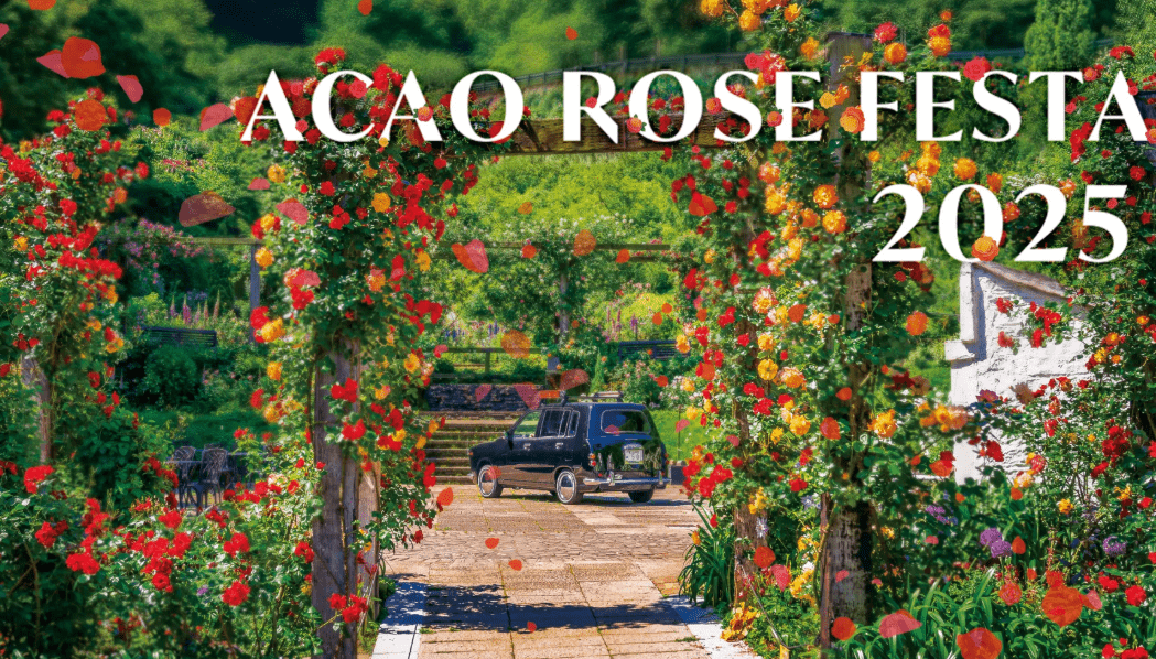 Acao rose festa-min