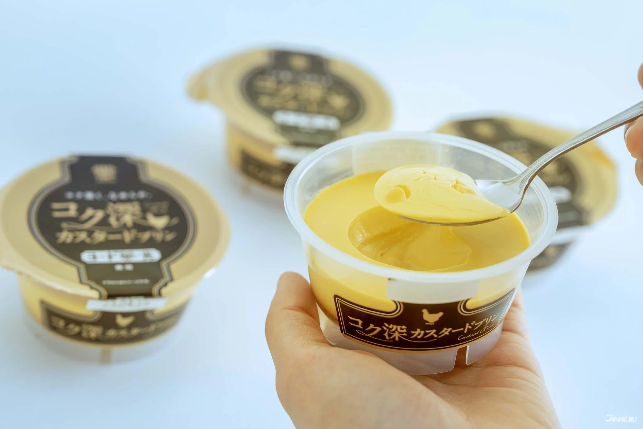 Kokubuka Custard Pudding