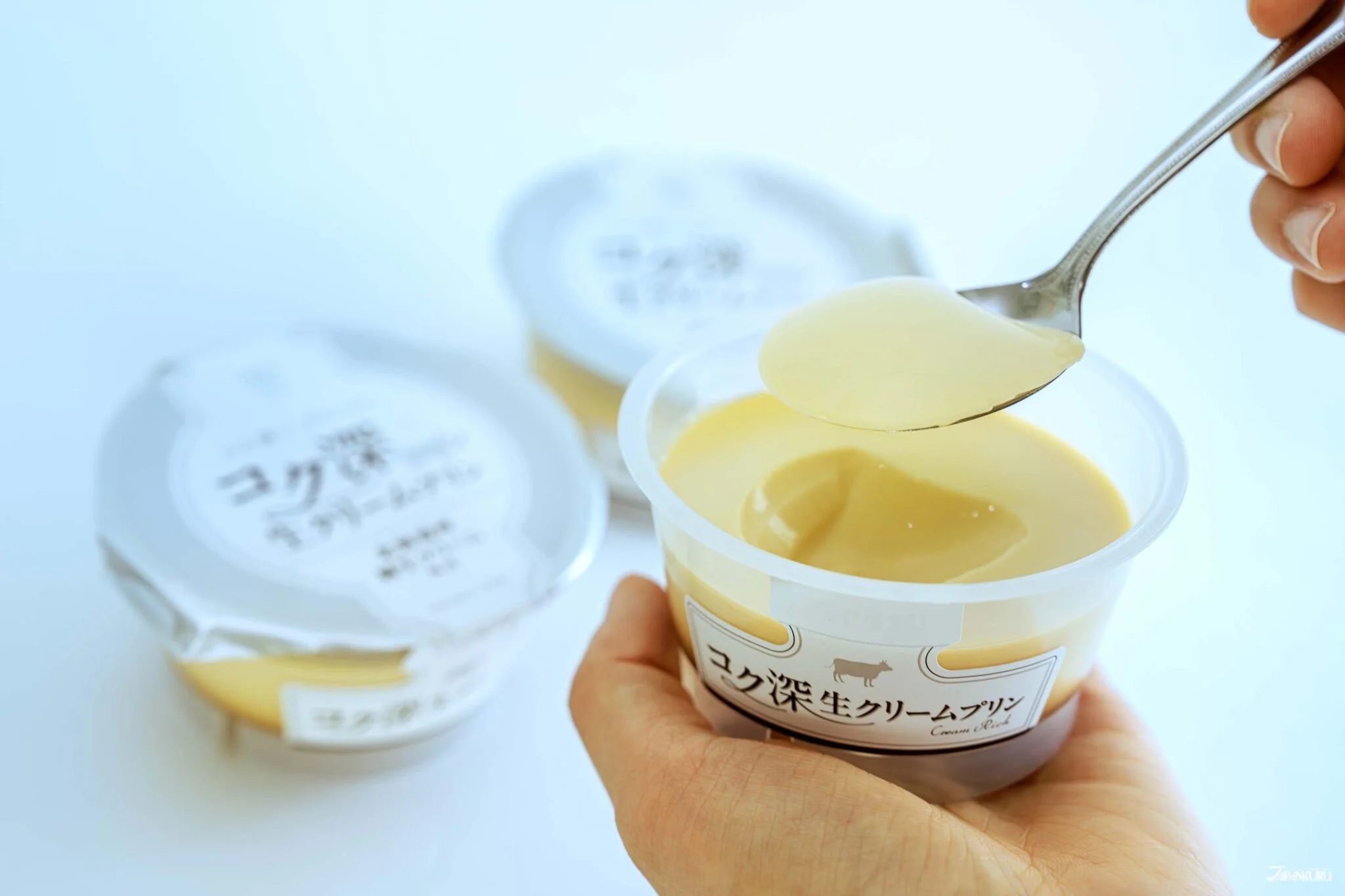 Kokubuka Nama-Cream Pudding