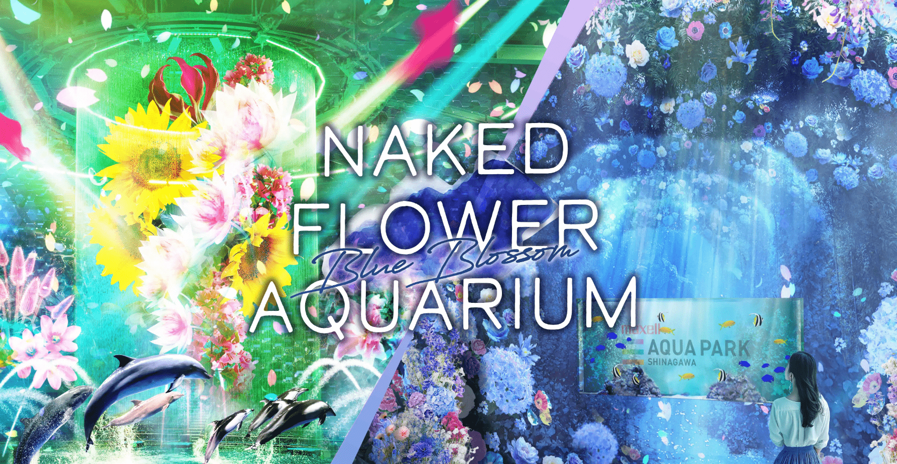 Naked Flower Aquarium