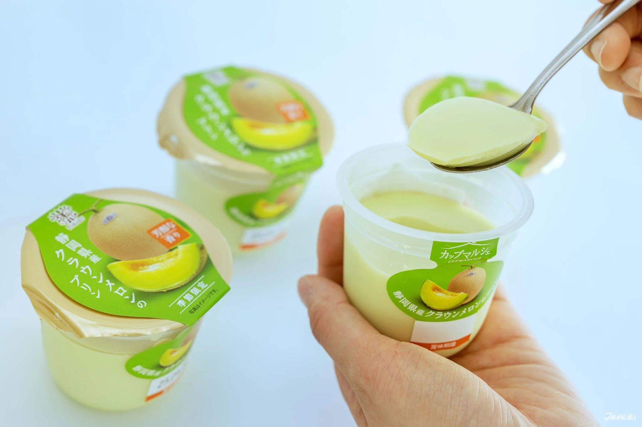 Shizuoka Crown Melon Pudding