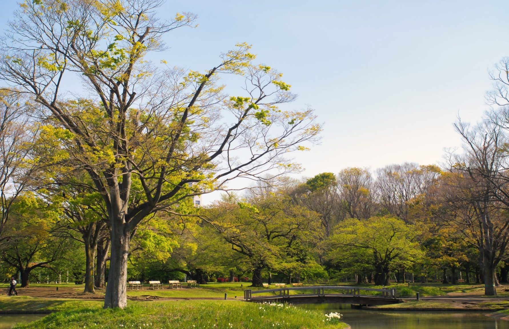Yoyogi Park