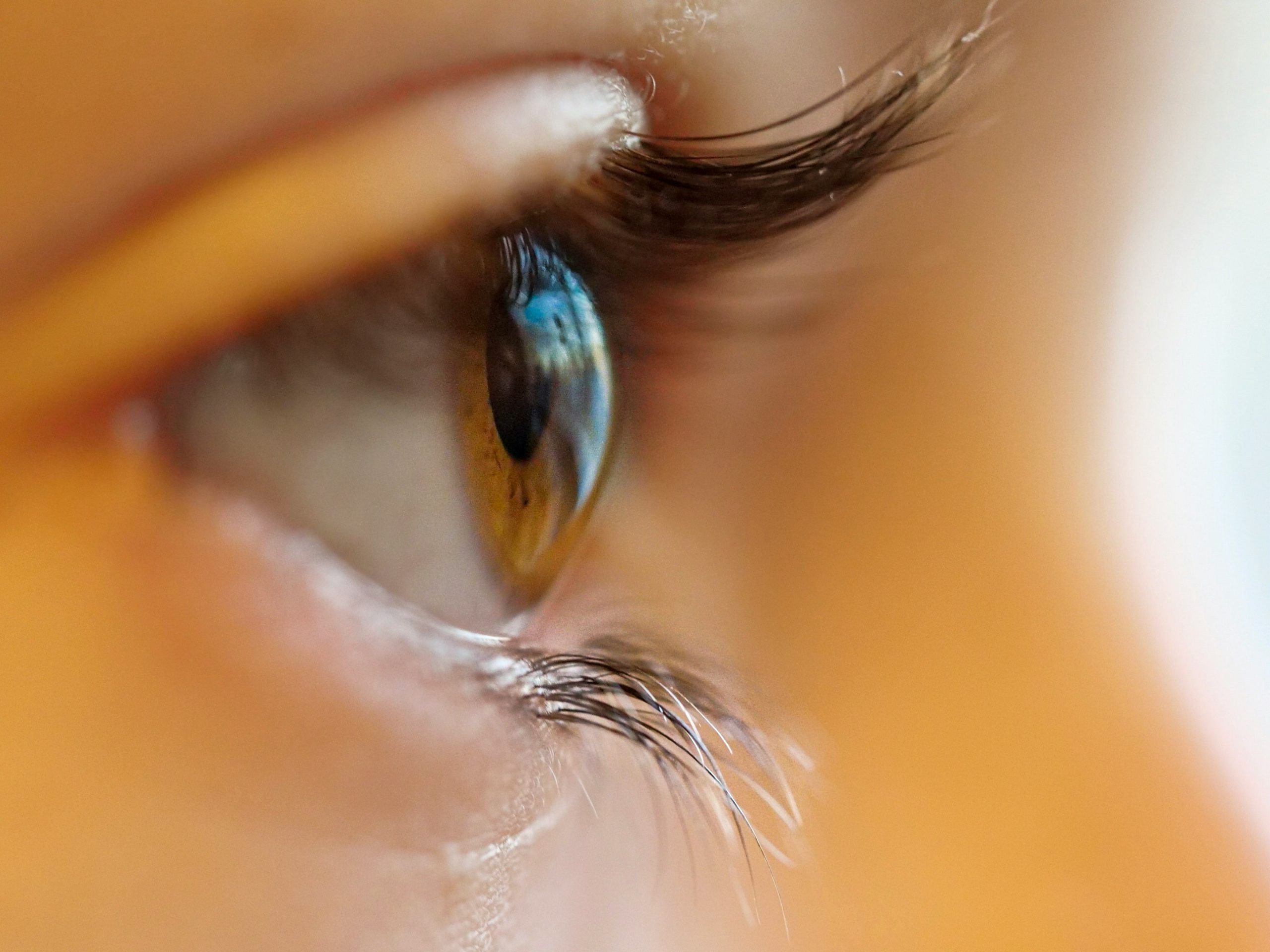 Choose the Best Contact Lenses