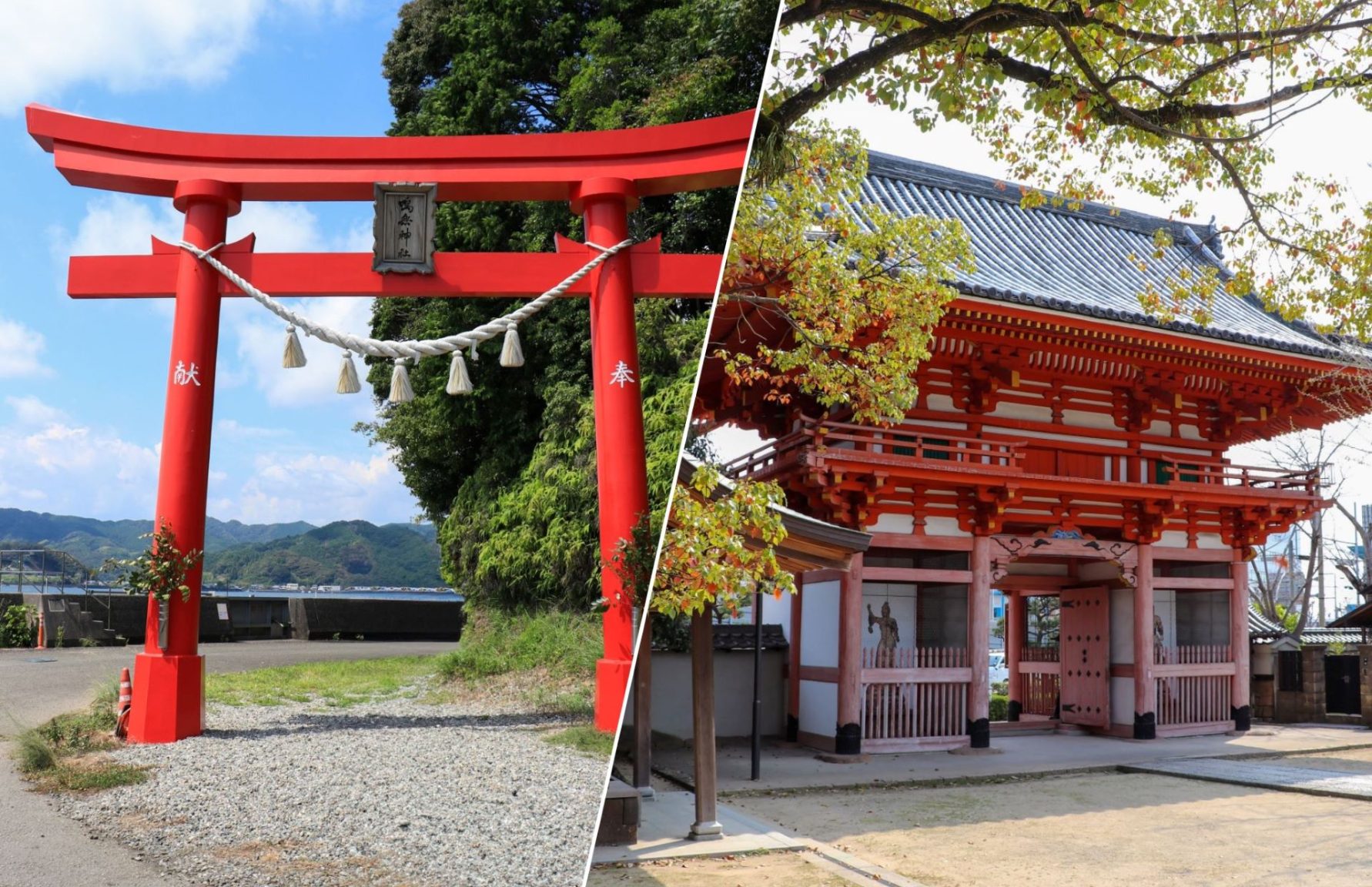 Torii Gate and Mon gate
