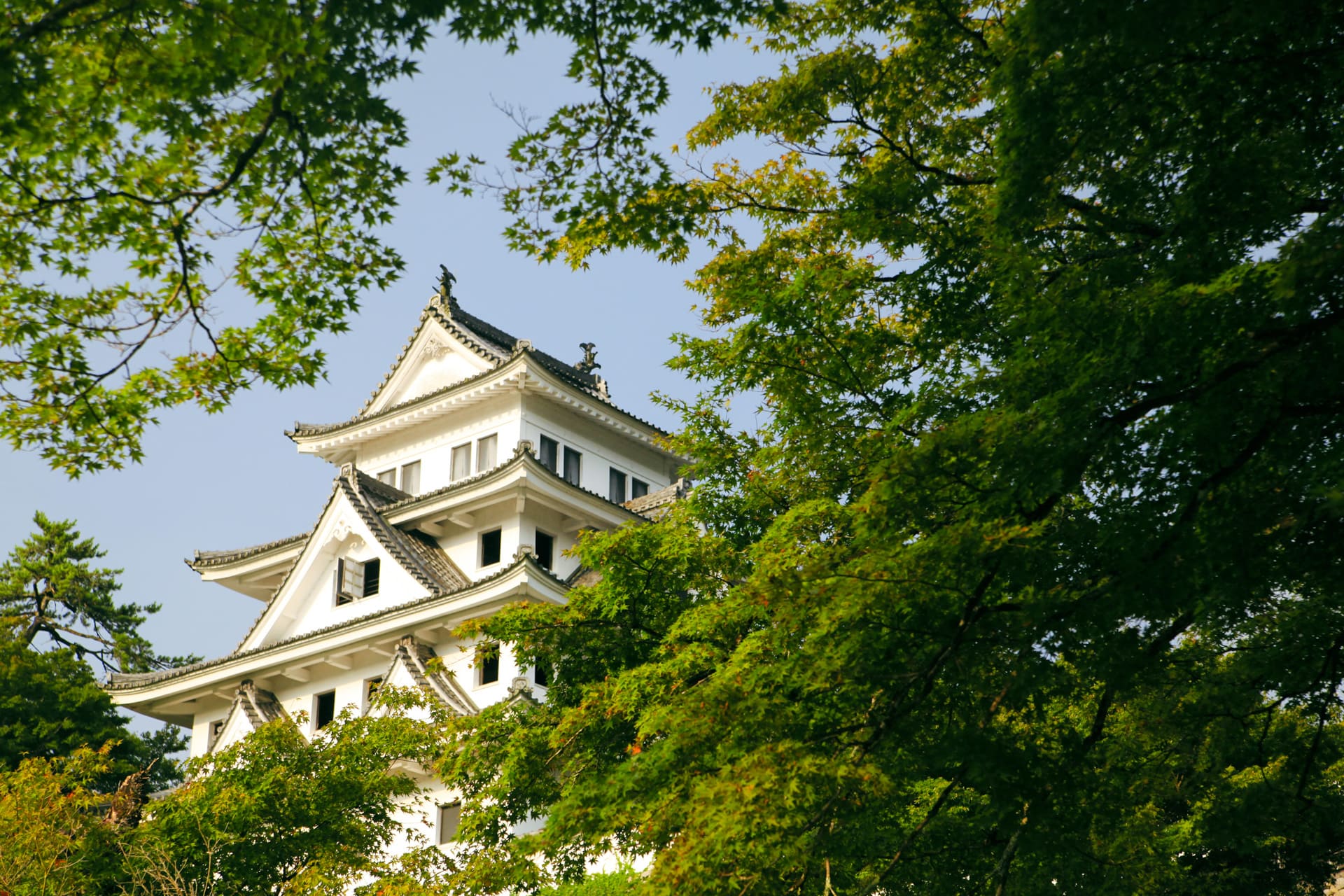 Gujo Hachiman Castle