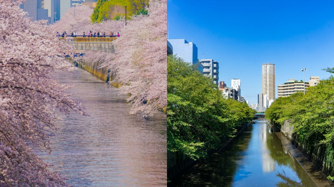 Meguro River