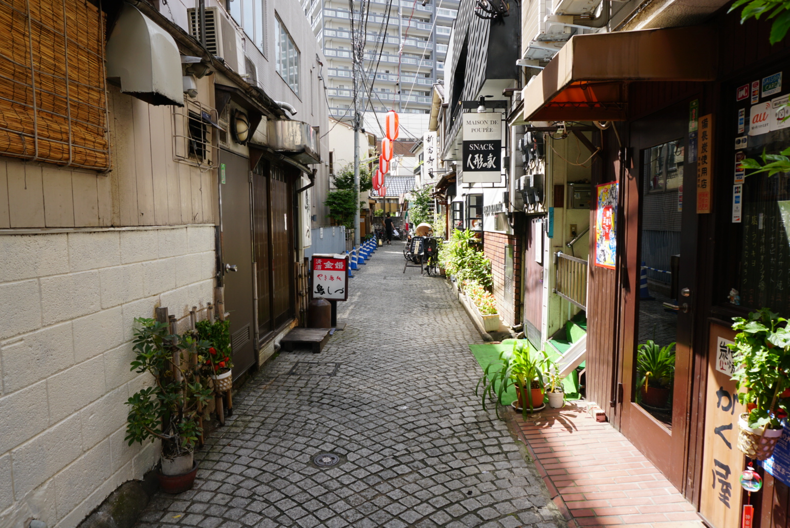 The hidden alley in Kagurazaka