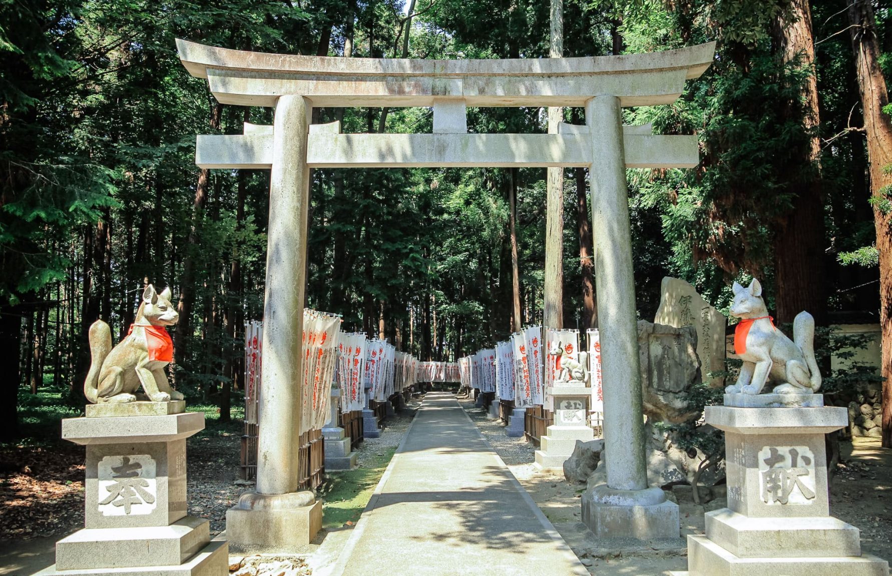 Torii gate to the Spirit Fox Tomb at Toyokawa Inari Temple