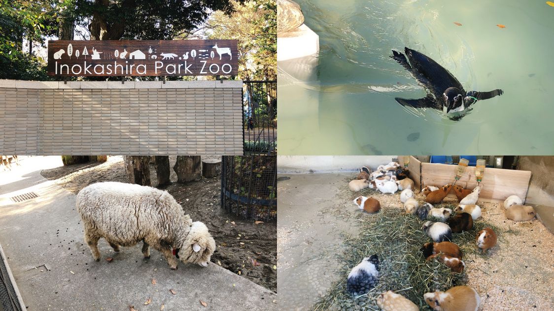 Inokashira Park Zoo