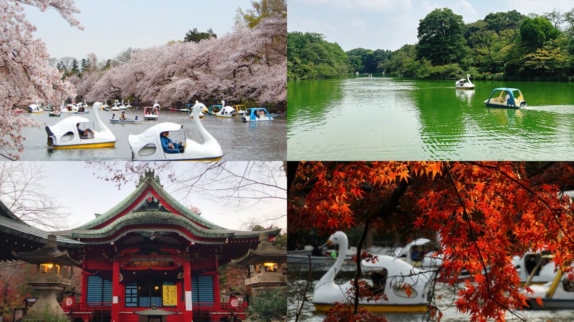 Inokashira Park