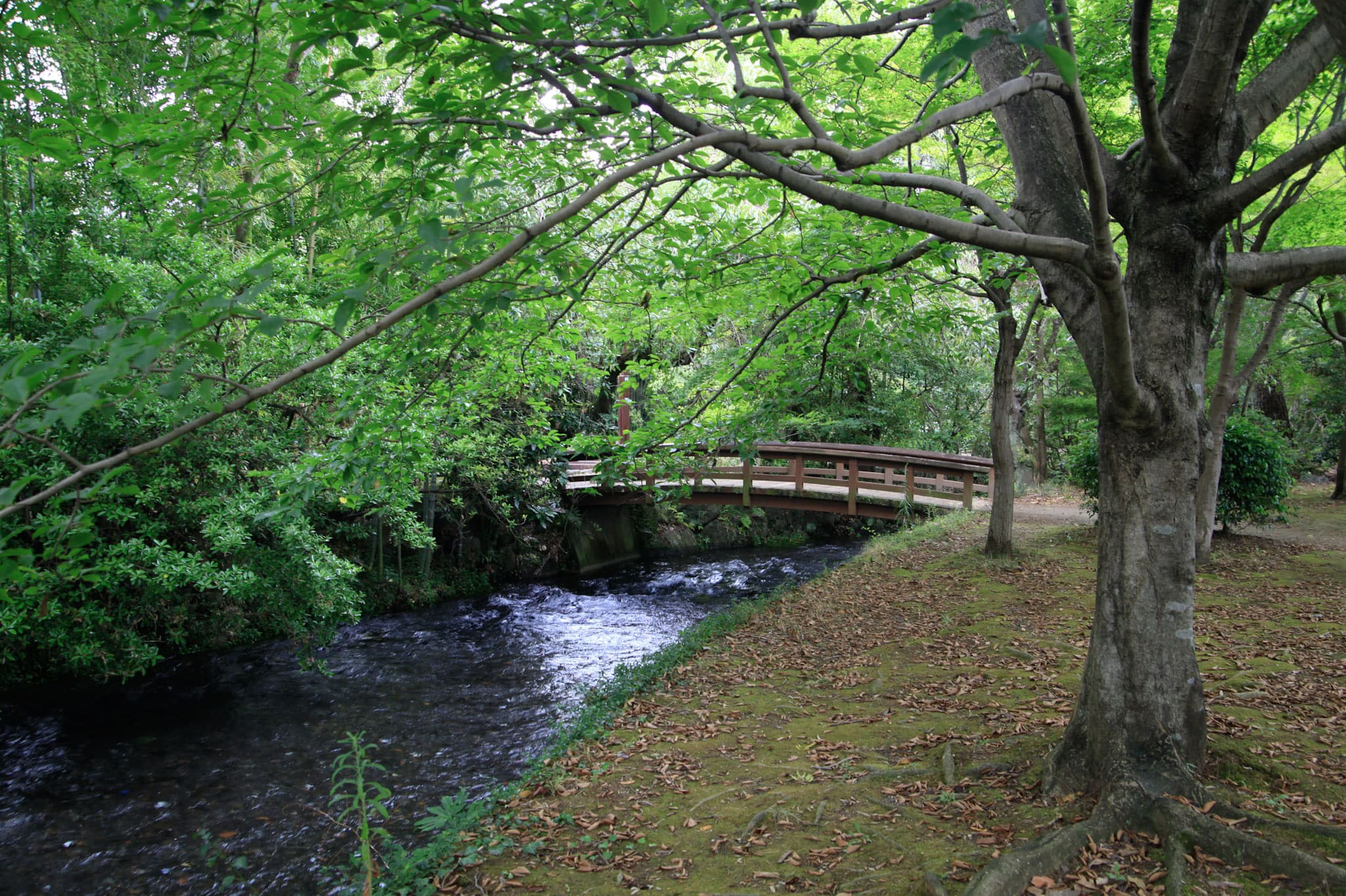 Mizunoyuenchi Park