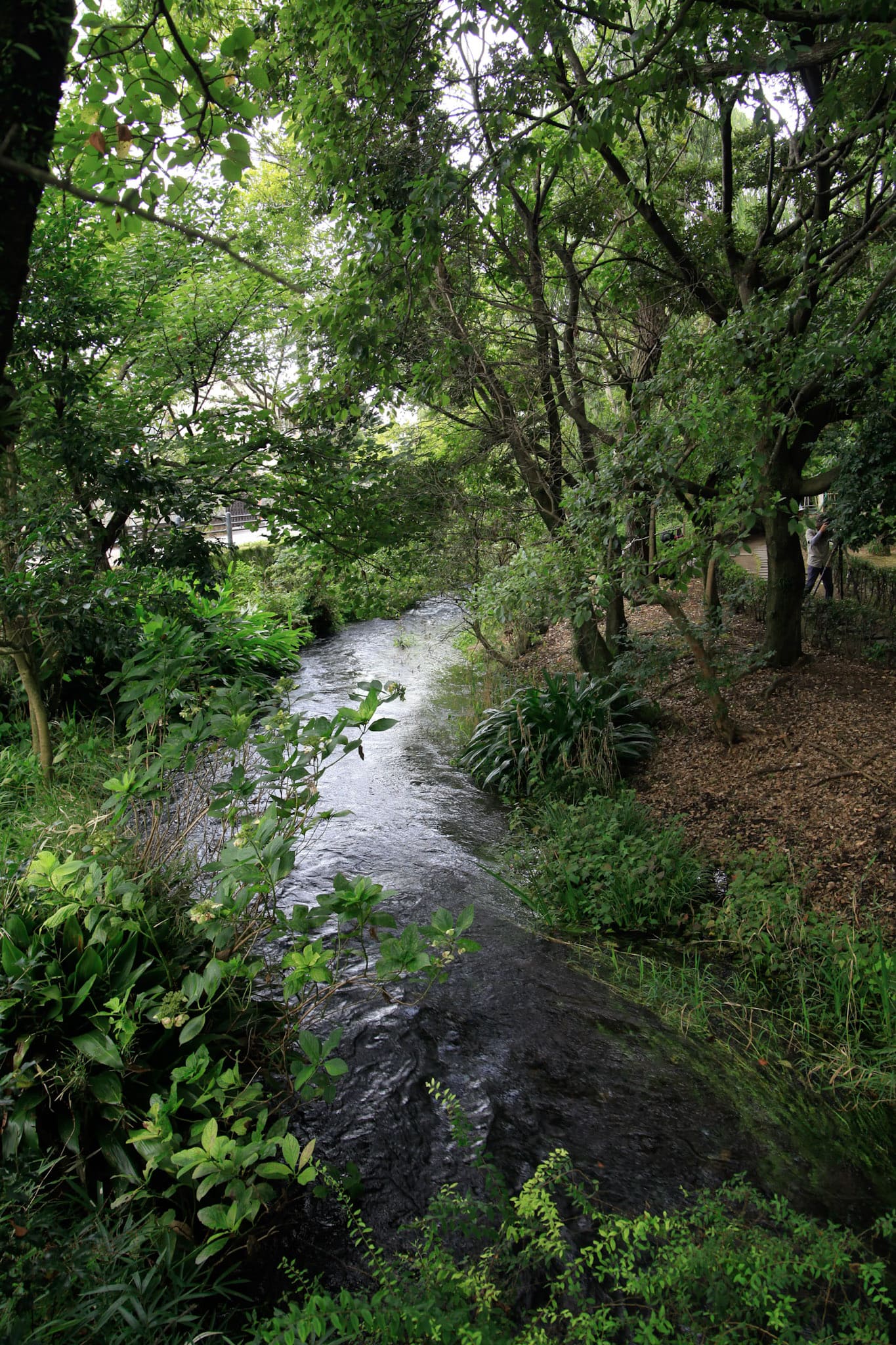 Mizunoyuenchi Park