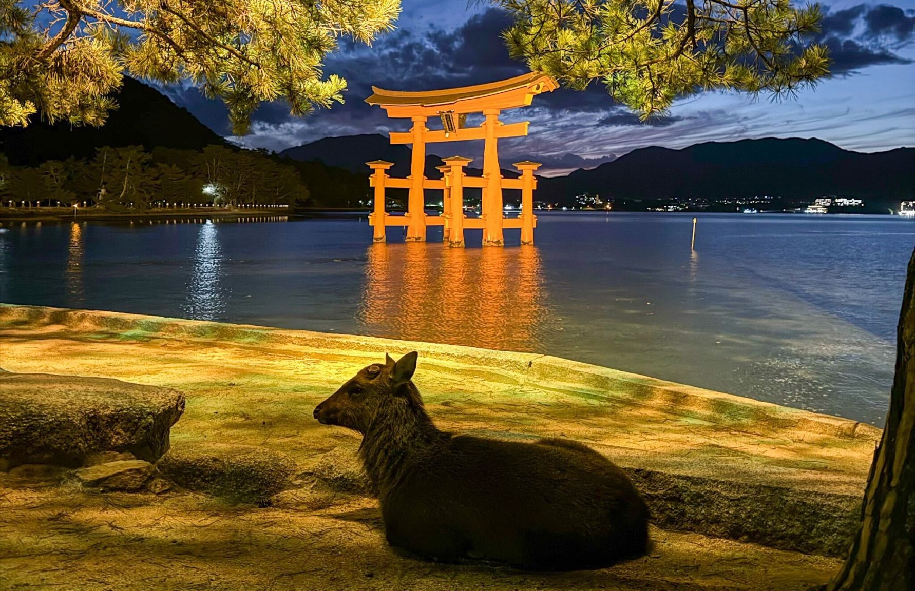 Itsukushima Shrine Torii at night