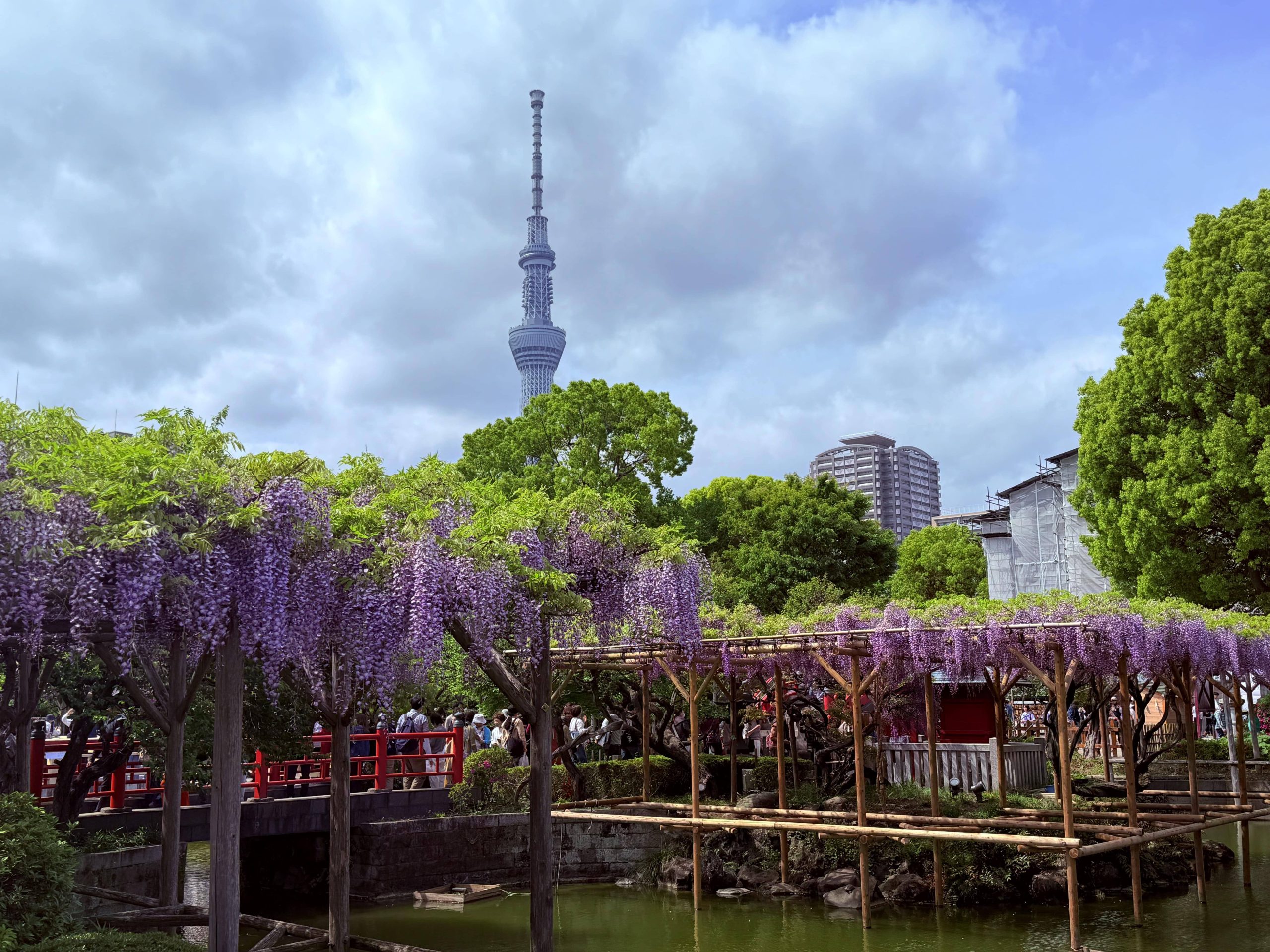 kameido tenjin shrine